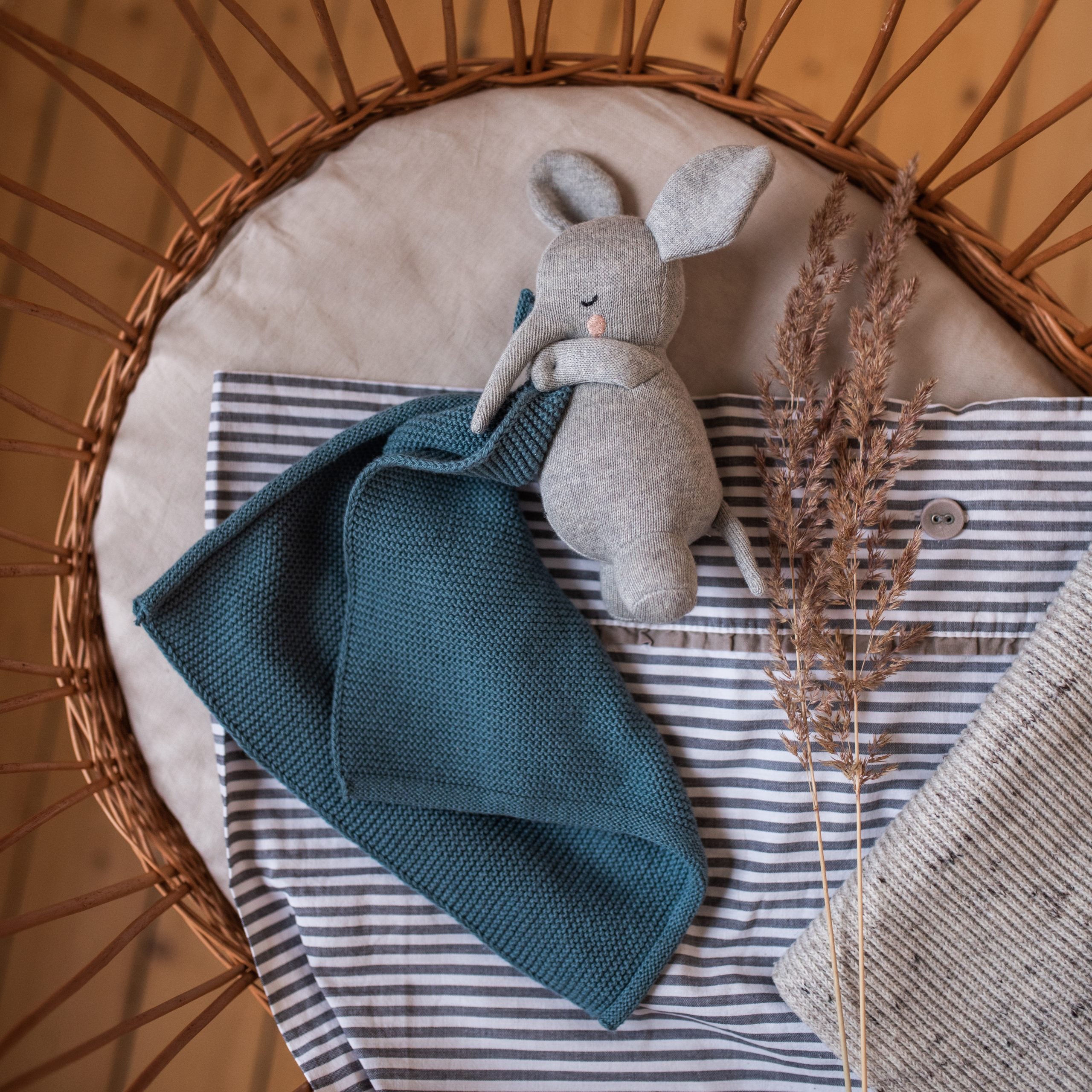 Dou Dou Elefante Con Copertina Blu