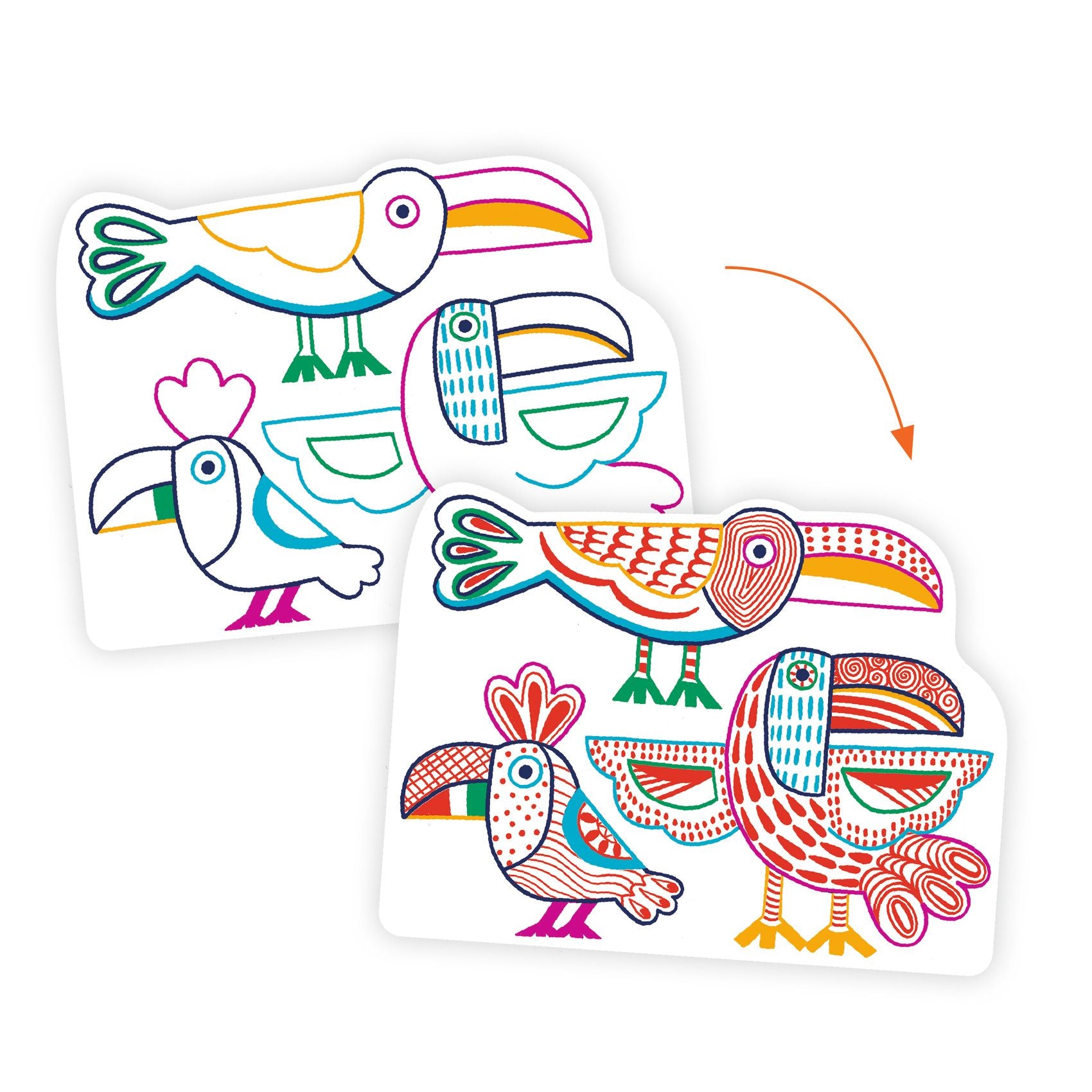 Set Da Colorare - 12 Immagini - Famiglie Selvatiche