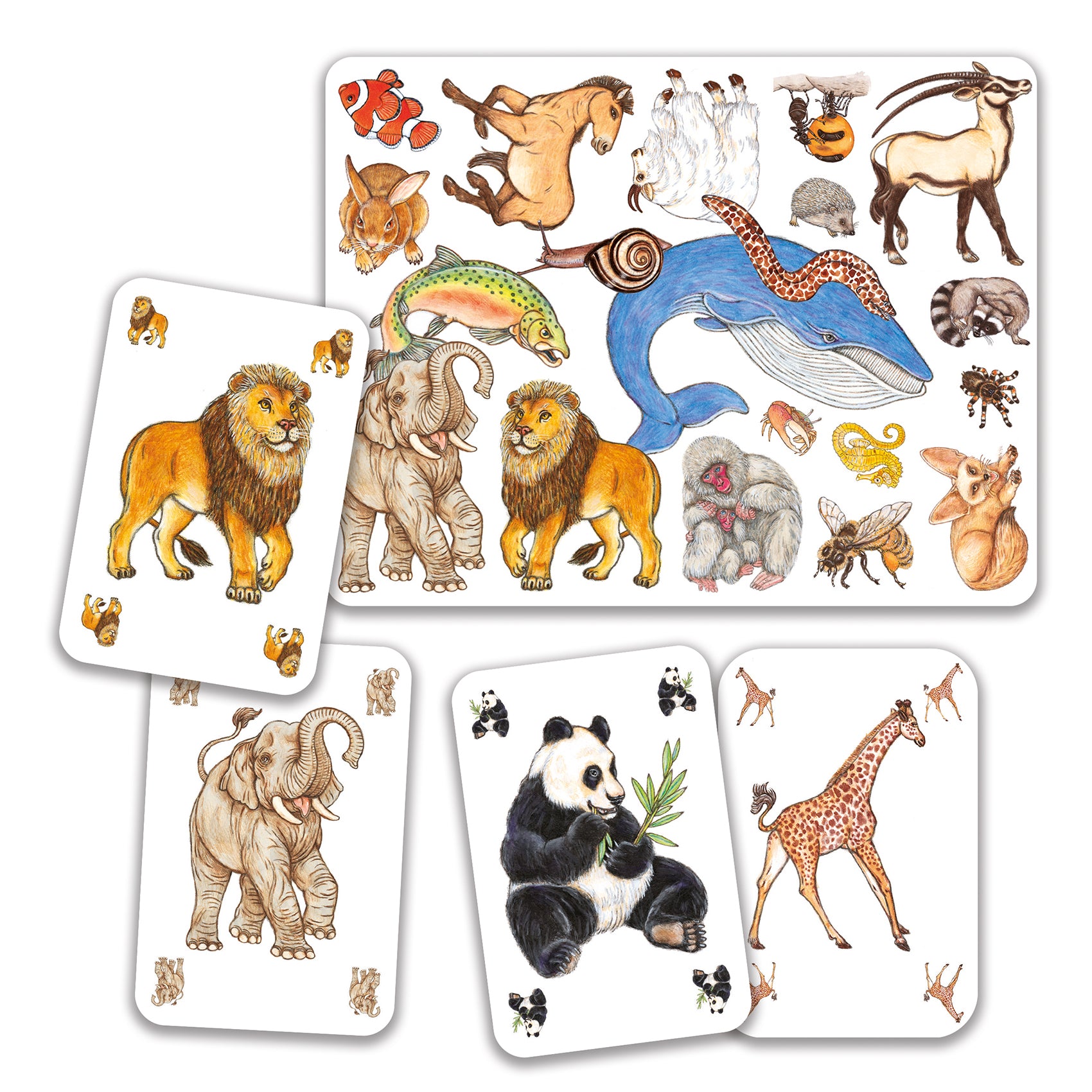 Gioco di Carte - Zanimatch