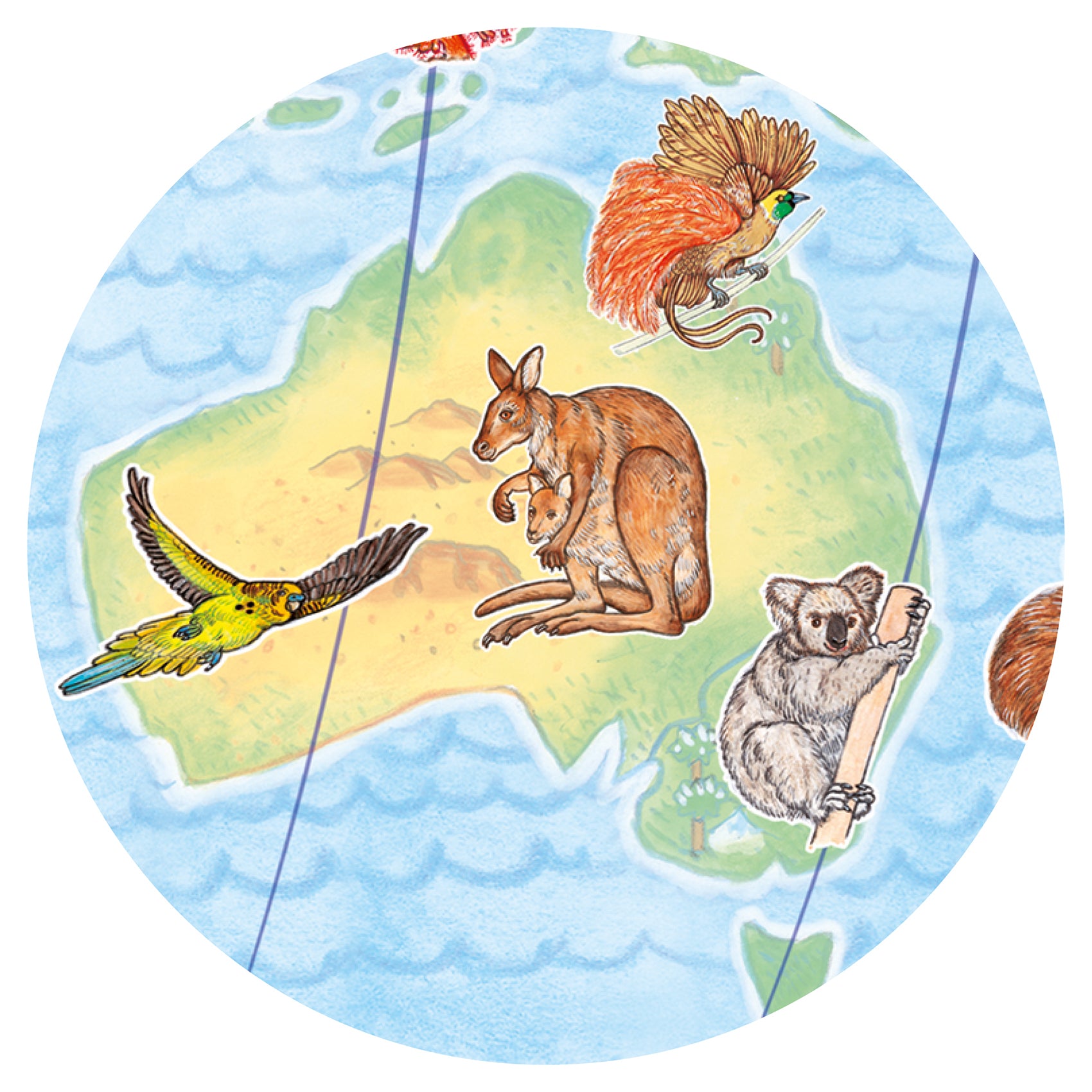 Animali del mondo – Puzzle 100 pezzi + libretto