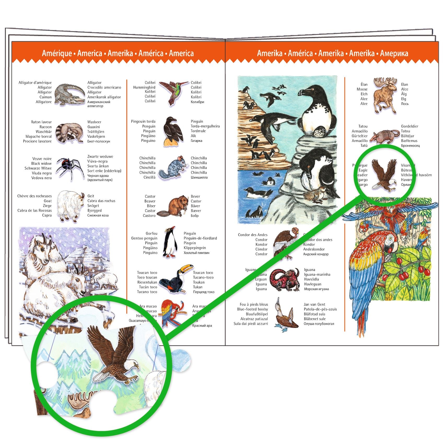 Animali del mondo – Puzzle 100 pezzi + libretto