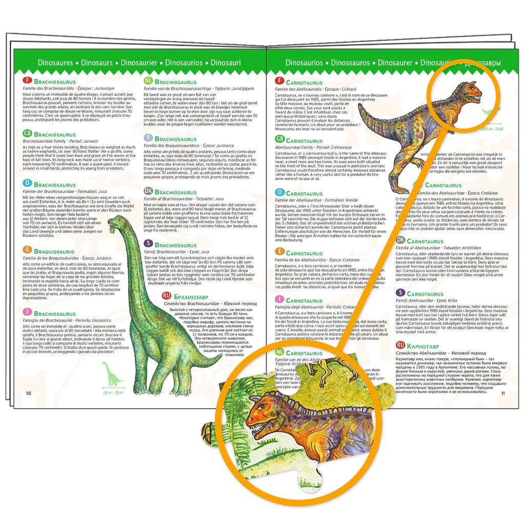 Puzzle Dinosauri con libretto - 100 pezzi