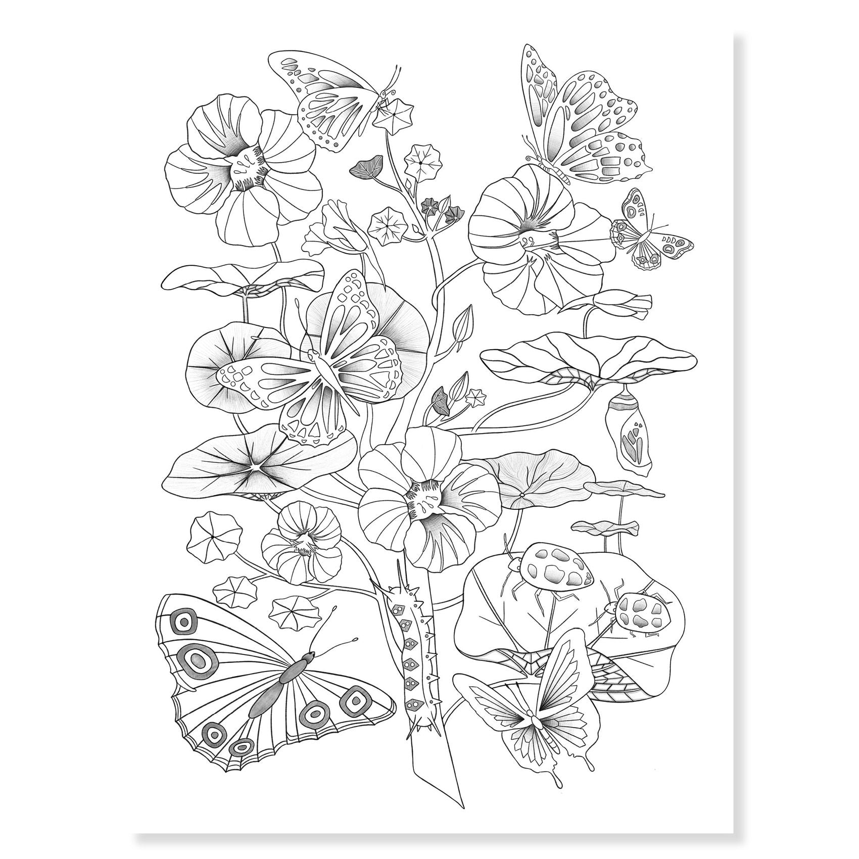 Poster Da Colorare - Naturalist