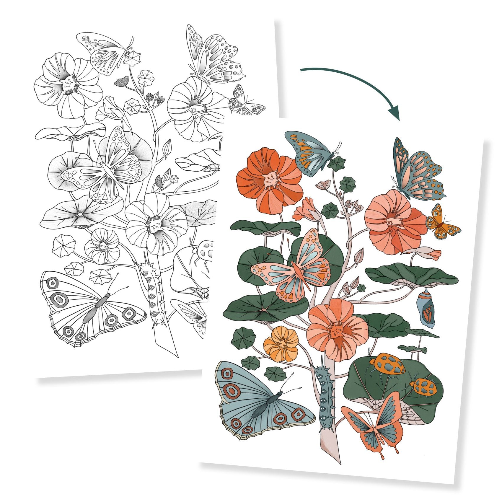 Poster Da Colorare - Naturalist
