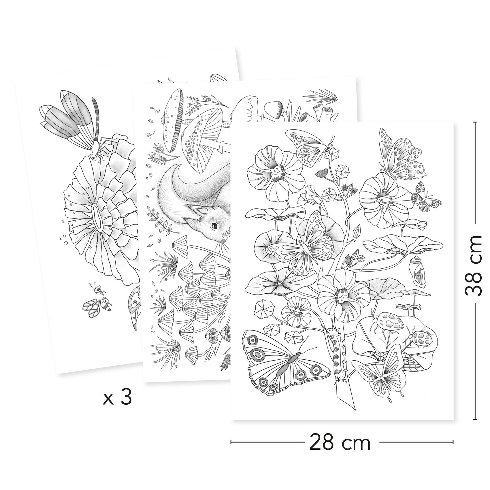 Poster Da Colorare - Naturalist