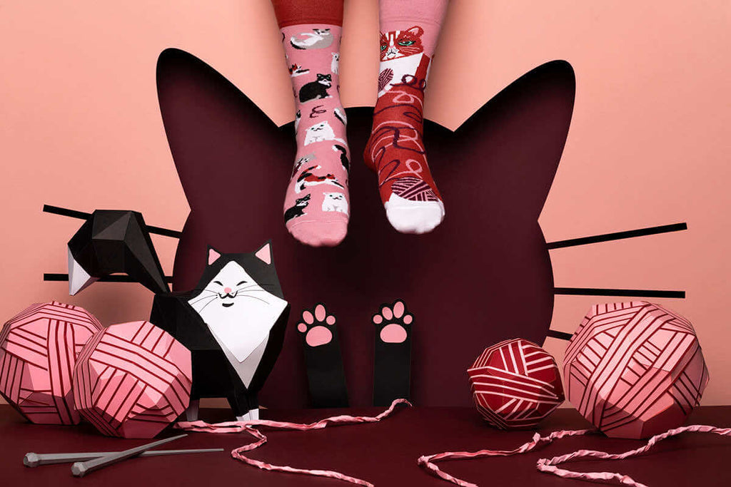 Calzini Playful Cat