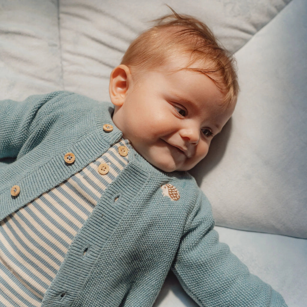 Palestrina Morbida - Forest Friends