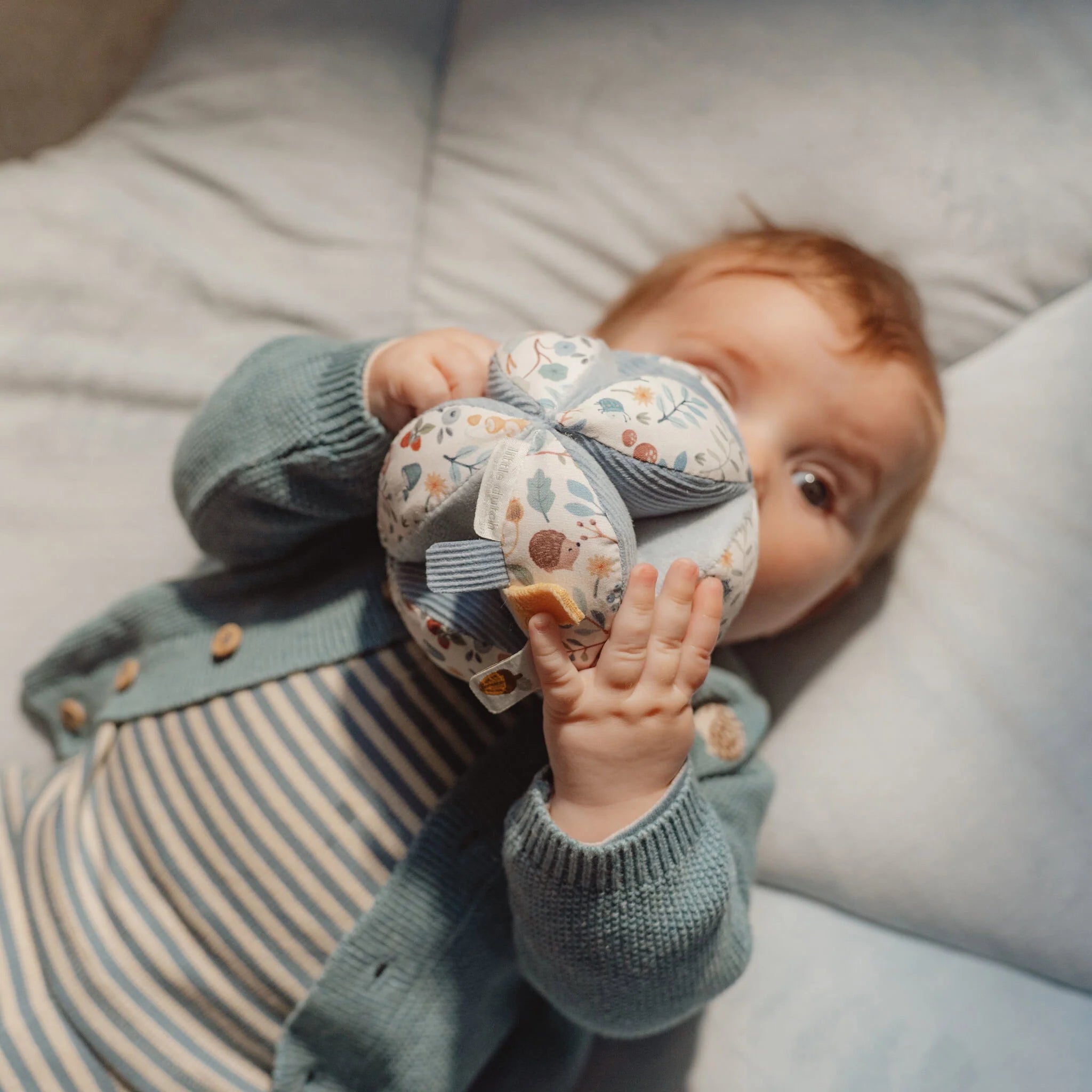 Palestrina Morbida - Forest Friends