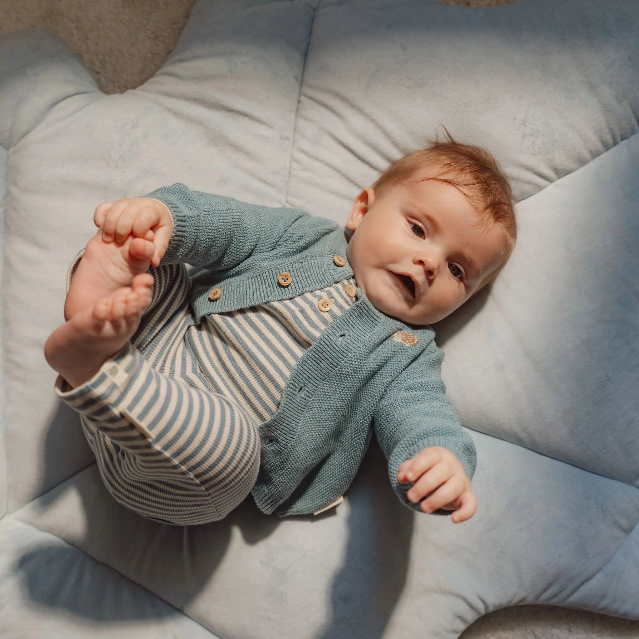 Palestrina Morbida - Forest Friends