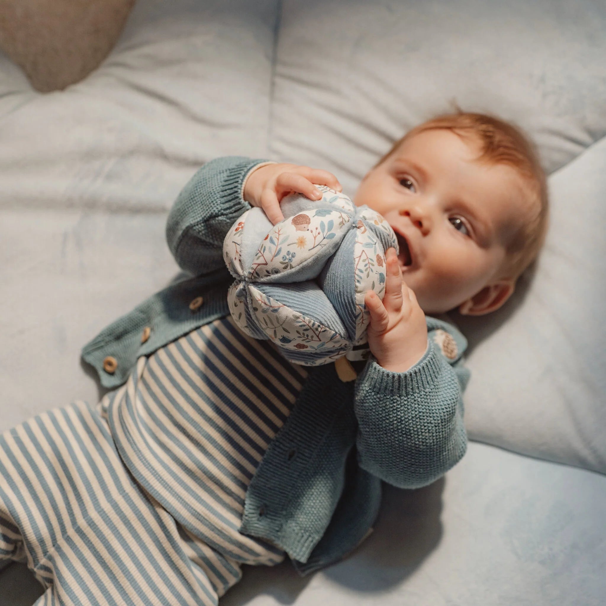 Palestrina Morbida - Forest Friends