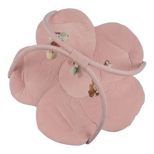 Palestrina Morbida - Fairy Garden