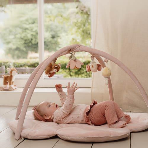 Palestrina Morbida - Fairy Garden