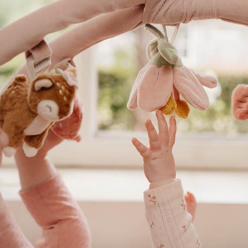 Palestrina Morbida - Fairy Garden