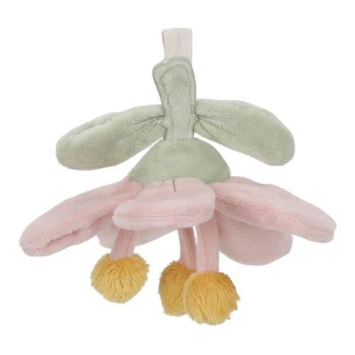 Palestrina Morbida - Fairy Garden