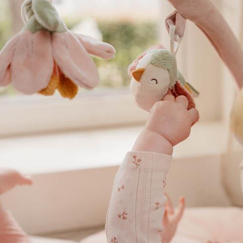 Palestrina Morbida - Fairy Garden