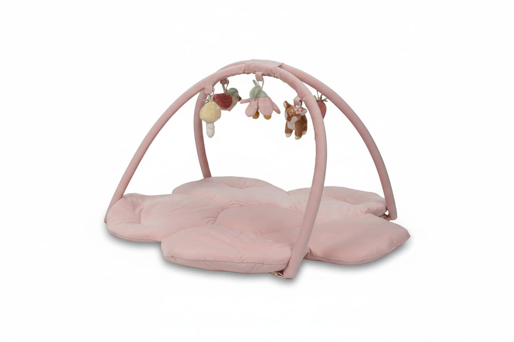 Palestrina Morbida - Fairy Garden