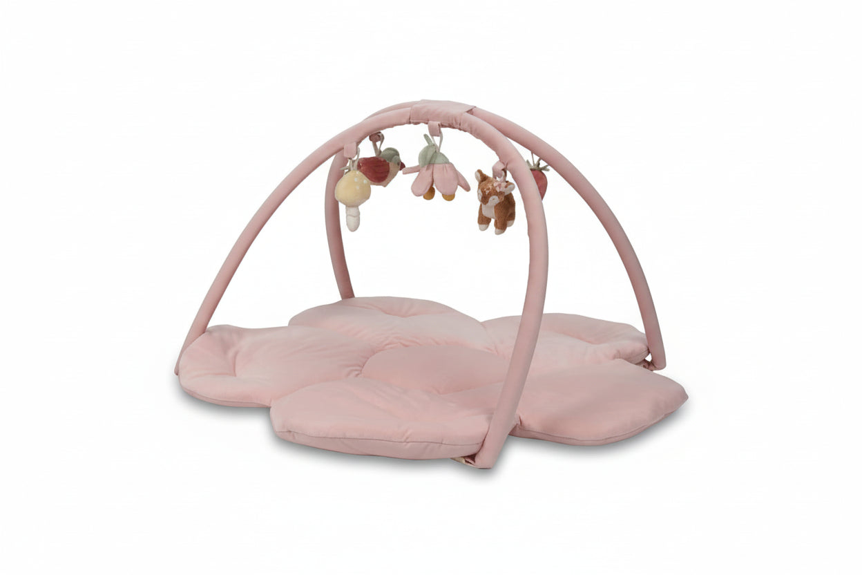 Palestrina Morbida - Fairy Garden