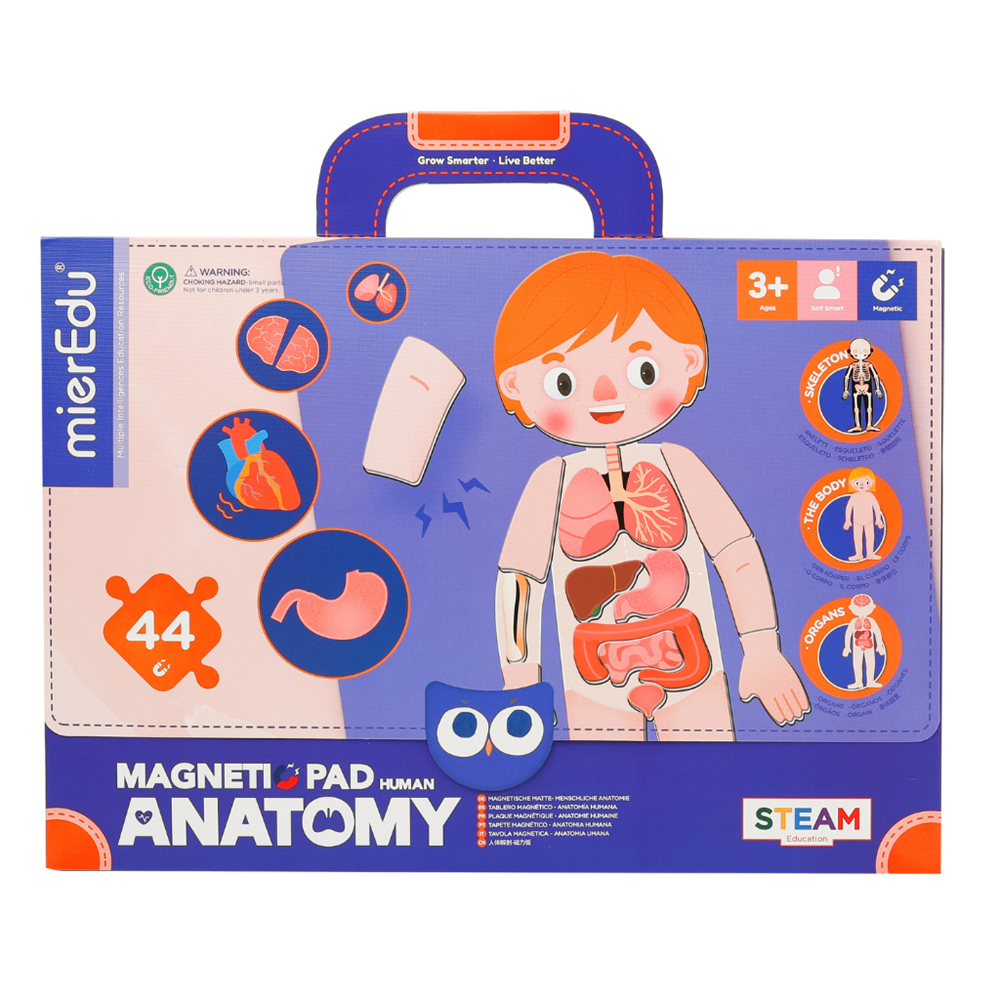 Valigetta Magnetica - Corpo Umano - mierEdu