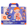 Valigetta Magnetica - Corpo Umano - mierEdu