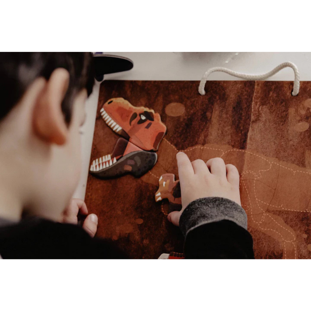 Valigetta Magnetica - T-Rex - mierEdu - immagine 3