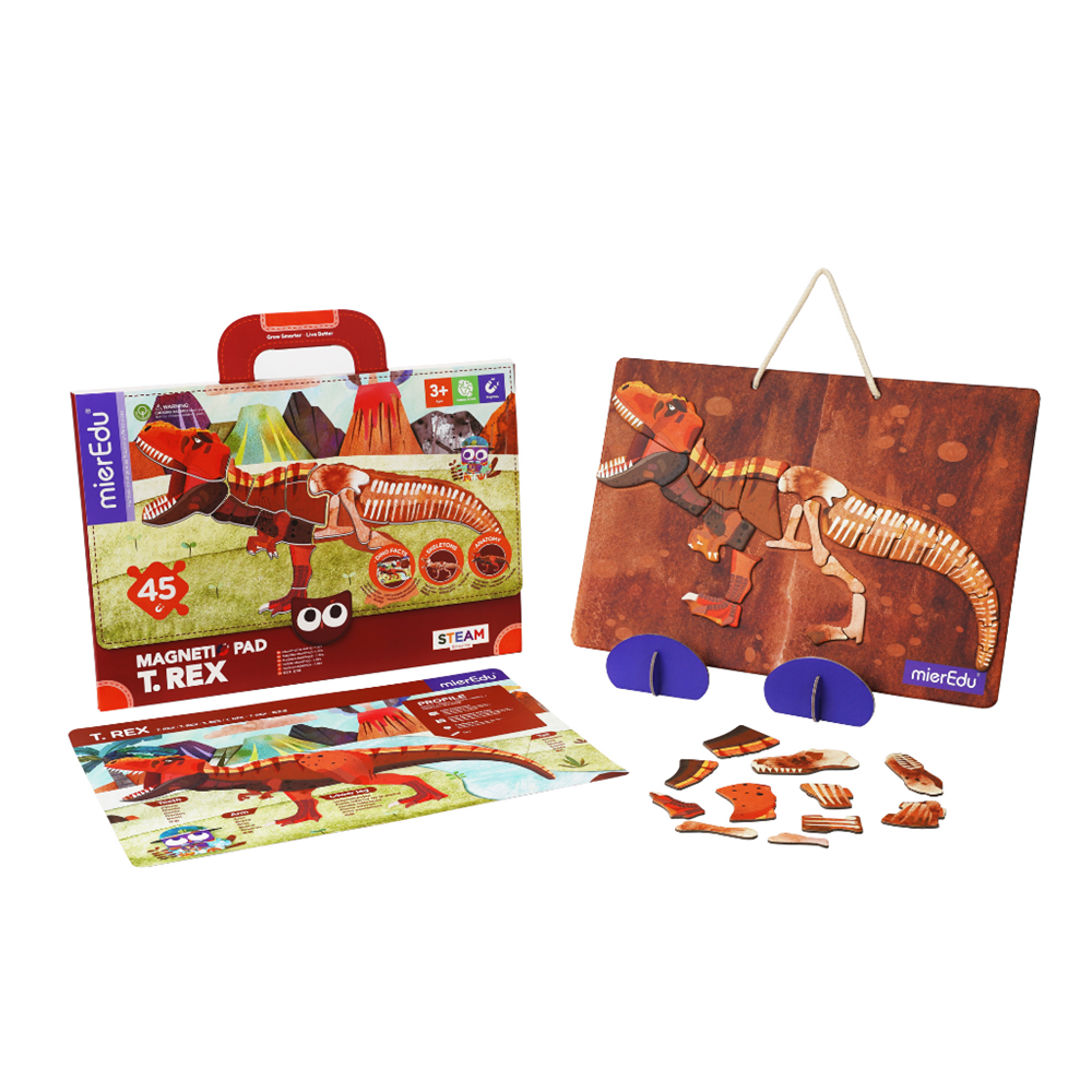 Valigetta Magnetica - T-Rex - mierEdu - immagine 2