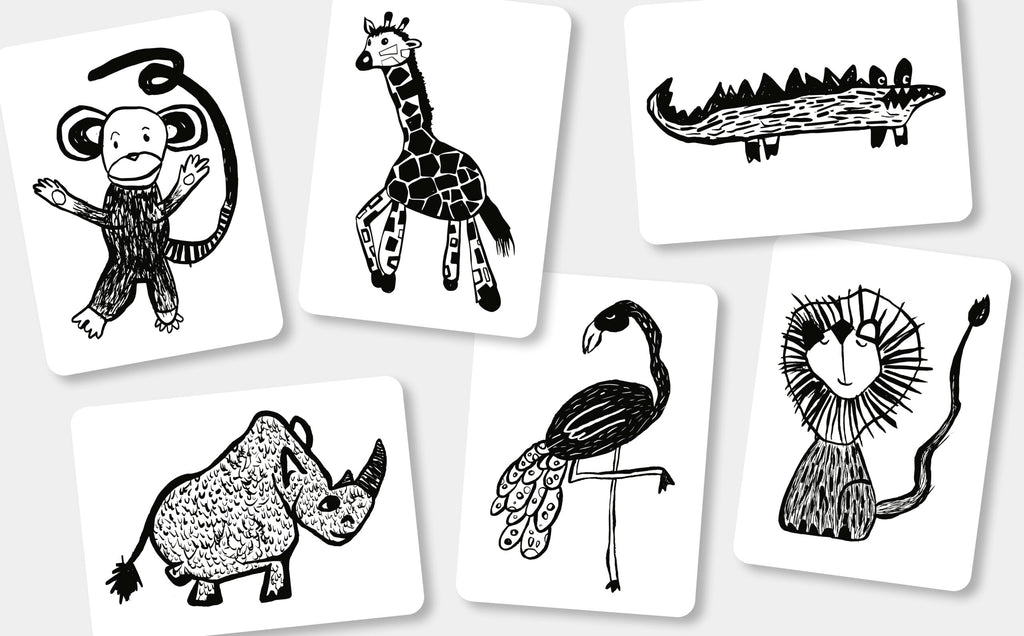 Flash Cards Bianco Nero - Safari