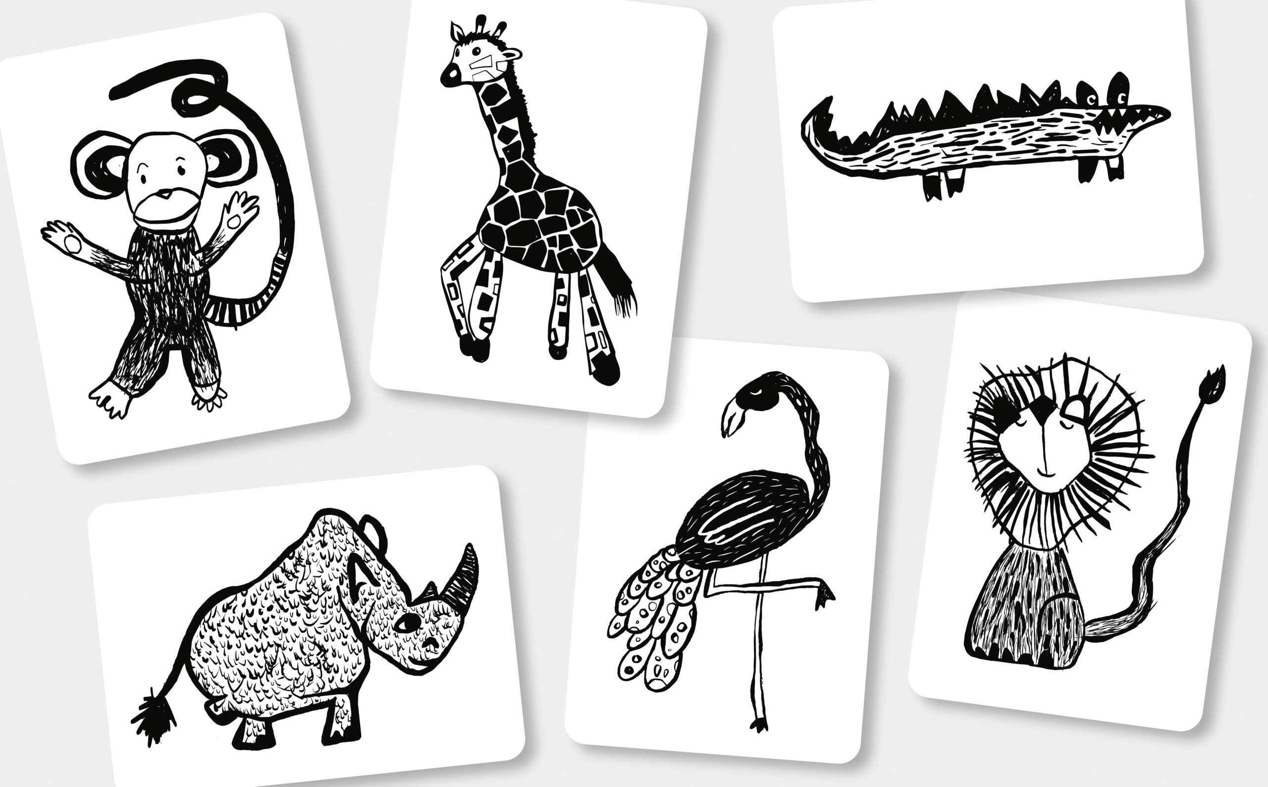 Flash Cards Bianco Nero - Safari