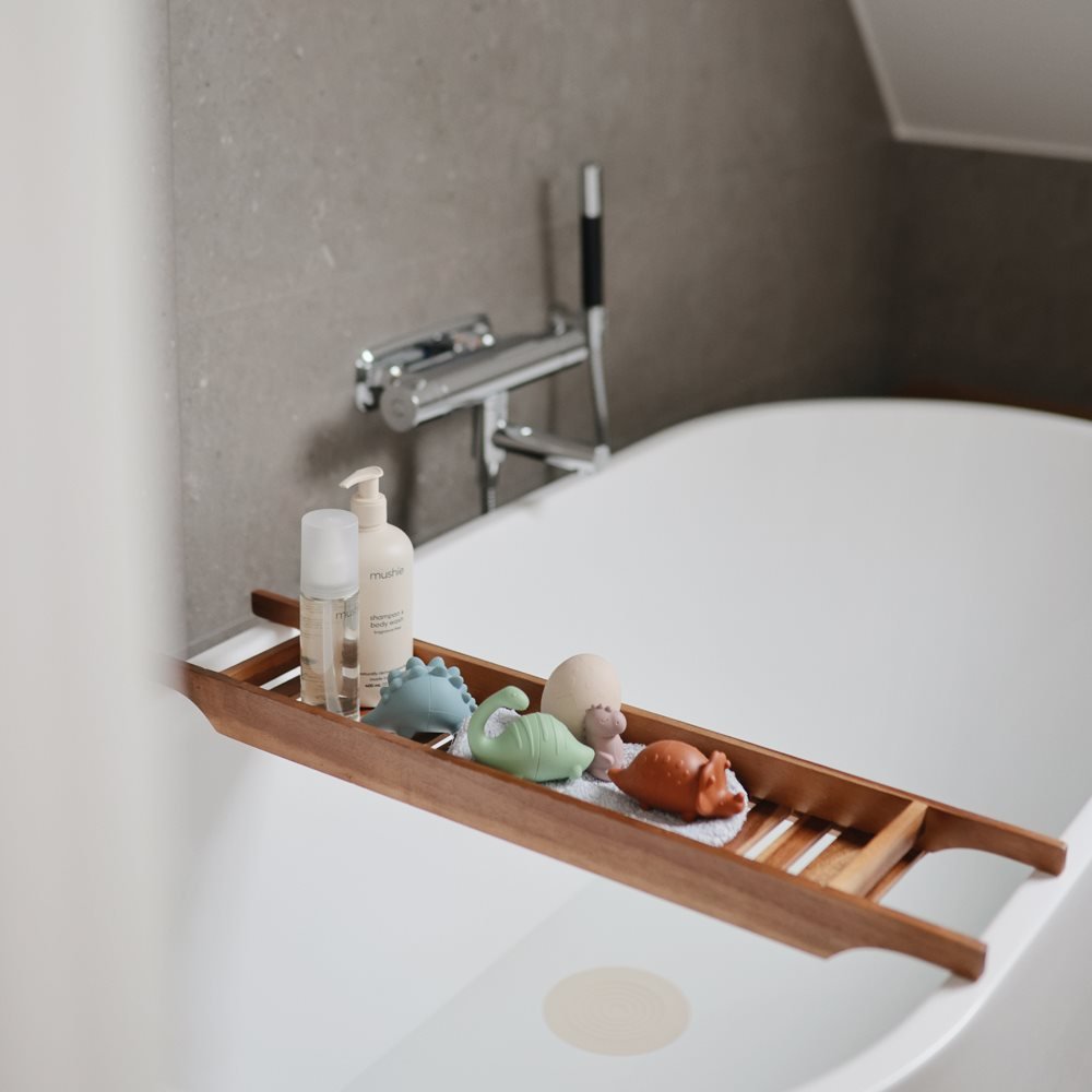 Set 4 Giochi da Bagno - Dinosauri - Colori Assortiti