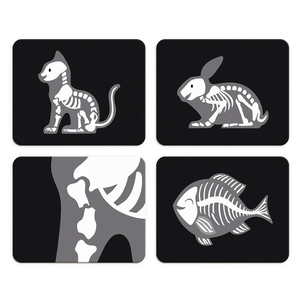 Valigetta Del Veterinario