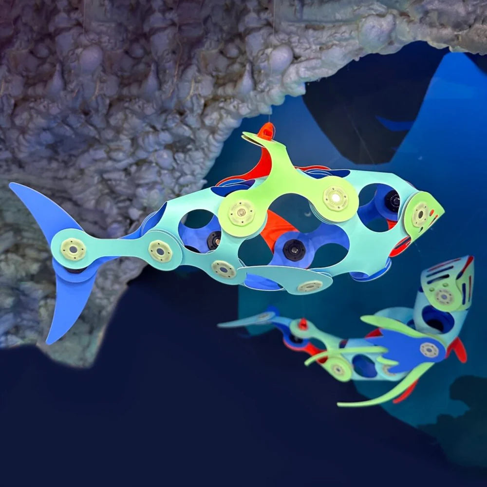 Gioco Magnetico STEAM 24 pezzi - Ocean Creatures Glow In The Dark