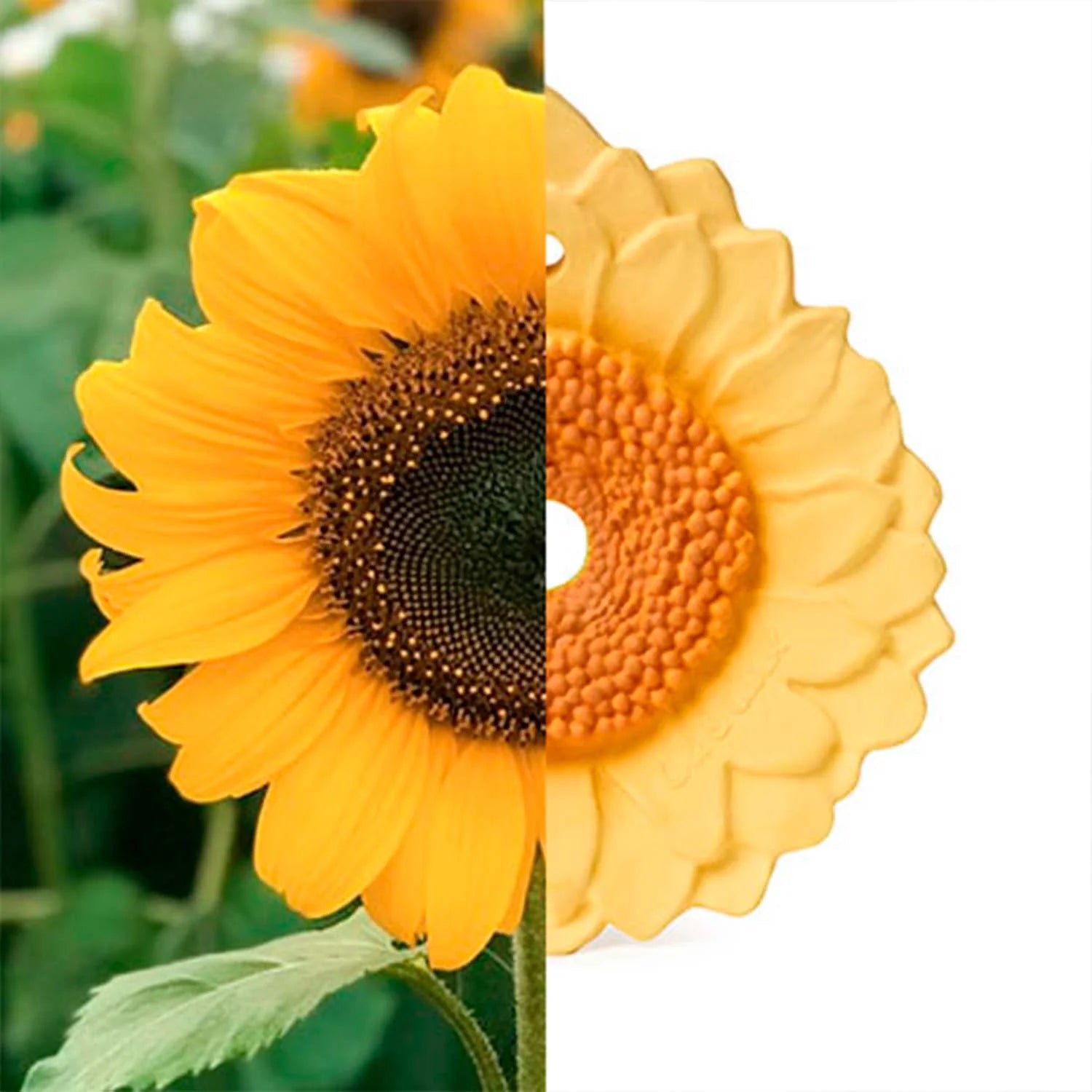Sun Il Girasole Massaggiagengive e Gioco Da Bagno