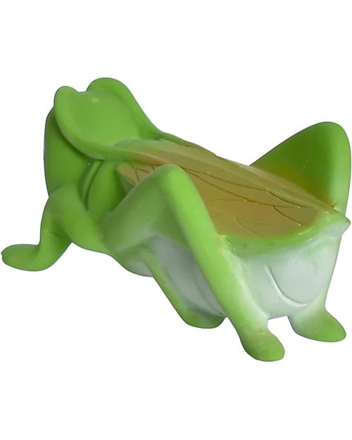 Gioco 3 in 1 - Cavalletta -  Massaggiagengive, Sonaglio, Gioco Da Bagnetto - 100% Caucciù Naturale